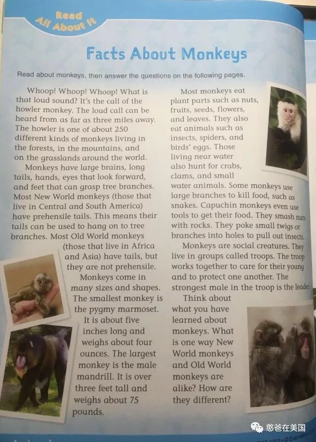 英语训练思维游戏_思维英语训练游戏app_思维游戏必会英语1000题