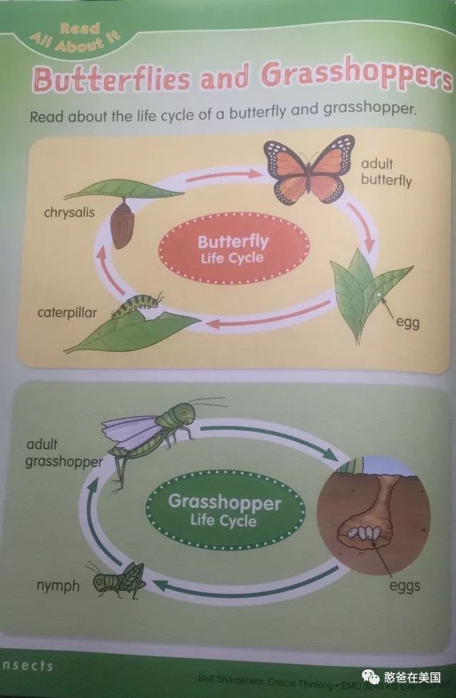 思维游戏必会英语1000题_英语训练思维游戏_思维英语训练游戏app